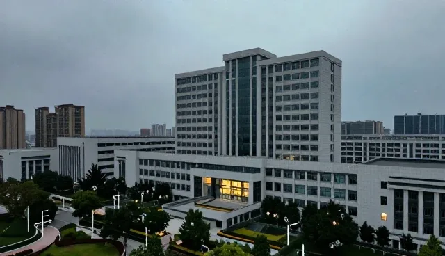 技术服务支持的适用条件与选型关注点