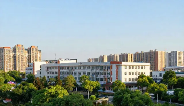 如何选择适合的化方案?